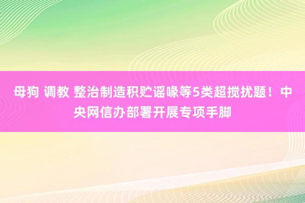 母狗 调教 整治制造积贮谣喙等5类超搅扰题！中央网信办部署开展专项手脚